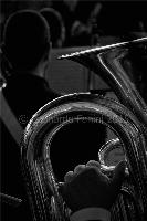 fine art picture of a tuba player