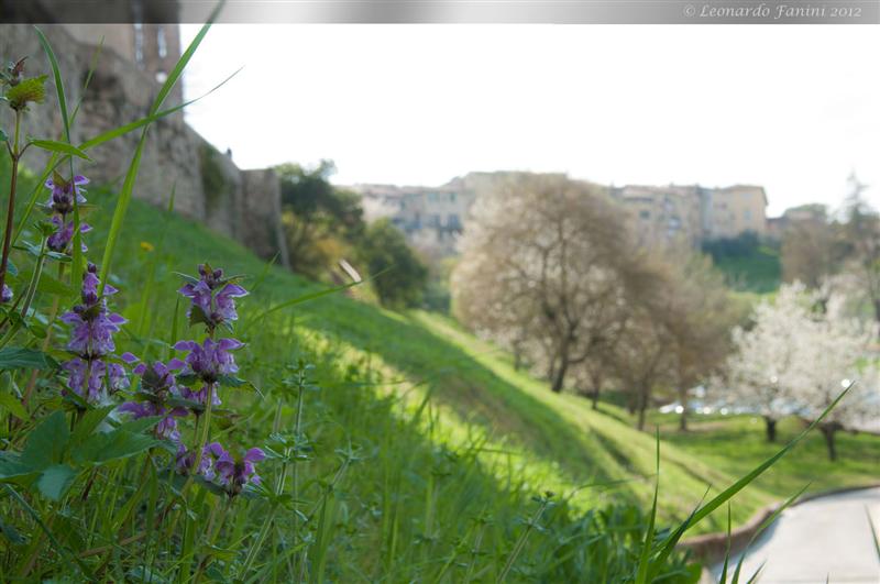  sotto il borgo antico di Colle val d