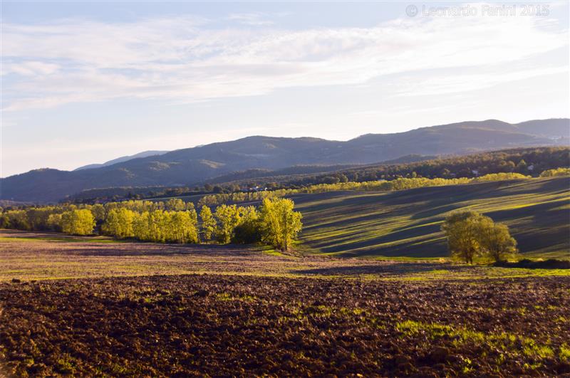 Autunno in mugello, fine art collina del mugello al tramonto