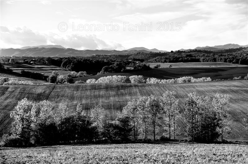 foto in bianco e nero dei campi in una collina