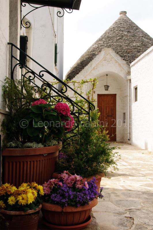  A gorgeous colorful picture of alberobello 