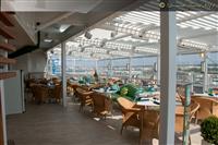 Celebrity Silhouette