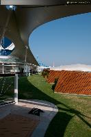 Celebrity Silhouette