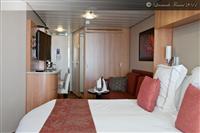 Celebrity Silhouette