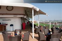 Celebrity Silhouette