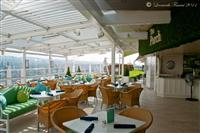 Celebrity Silhouette