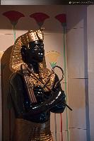 Indepence of the Seas