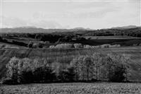 black and white picture of mugello's country